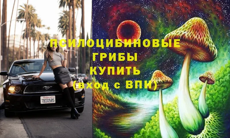 купить закладку  Монино  Галлюциногенные грибы Cubensis 